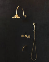 Brass Shower Fixtures - Brass Shower System